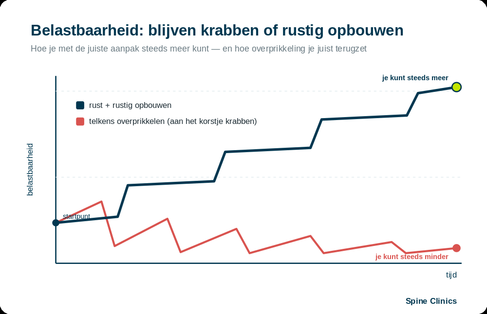 Schema: belastbaarheid opbouwen versus blijven krabben aan het korstje