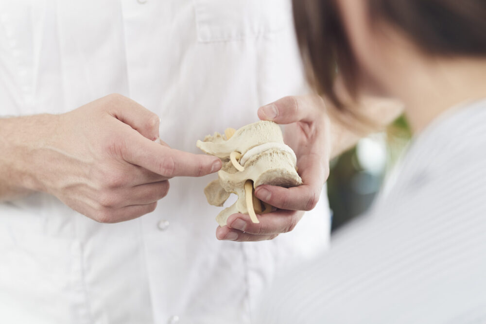 Chiropractor toont een model van de wervelkolom en gewrichten – Spine Clinics